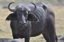 Arusha National Park