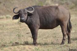 Arusha National Park