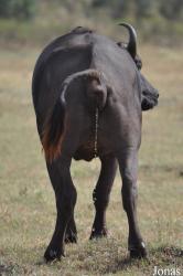 Arusha National Park