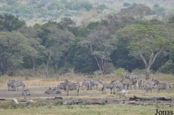 Arusha National Park