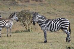 Arusha National Park