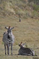 Arusha National Park