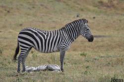 Arusha National Park