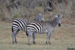 Arusha National Park