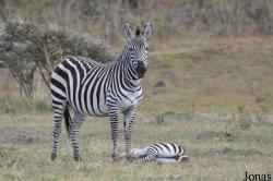 Arusha National Park