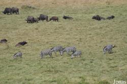 Arusha National Park