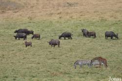Arusha National Park