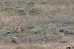 Arusha National Park
