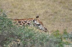Arusha National Park