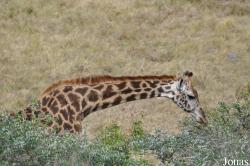 Arusha National Park