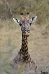 Arusha National Park