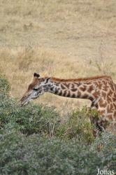 Arusha National Park