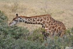 Arusha National Park