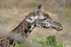 Arusha National Park