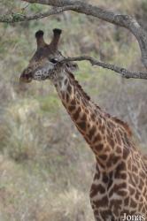 Arusha National Park