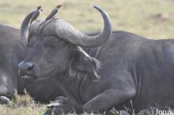 Arusha National Park