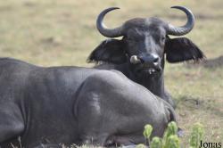 Arusha National Park