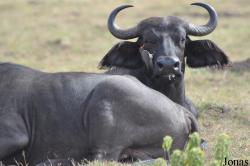 Arusha National Park