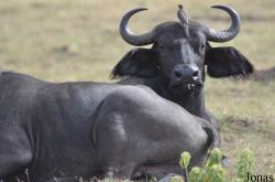 Arusha National Park
