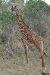 Arusha National Park