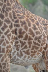 Arusha National Park