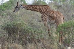 Arusha National Park