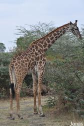 Arusha National Park