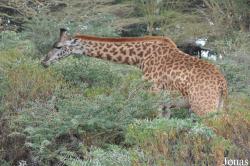 Arusha National Park