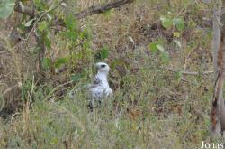 Arusha National Park