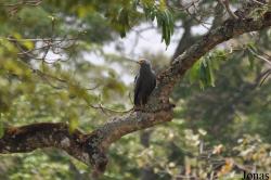 Arusha National Park