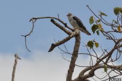 Arusha National Park