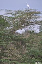 Arusha National Park