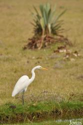 Arusha National Park