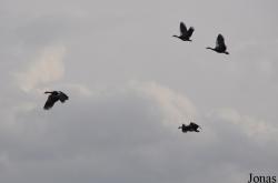 Arusha National Park