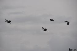 Arusha National Park