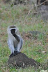 Arusha National Park