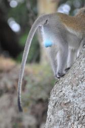 Arusha National Park