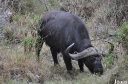 Arusha National Park
