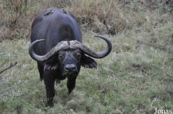 Arusha National Park