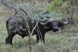 Arusha National Park