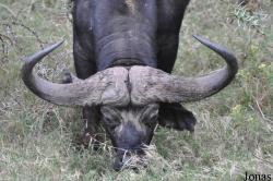 Arusha National Park