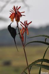 Arusha National Park