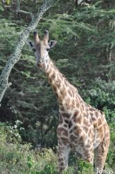 Arusha National Park