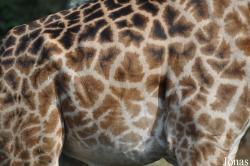 Arusha National Park