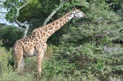 Arusha National Park