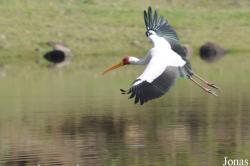 Arusha National Park