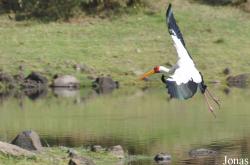 Arusha National Park