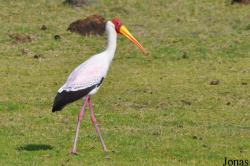 Arusha National Park