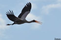 Arusha National Park