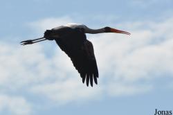 Arusha National Park